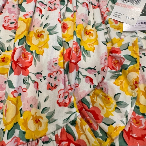 Blueberi Boulevard LOT OF 2 Girls Floral Dresses NWT Size 2T MSRP $96 - Picture 10 of 16